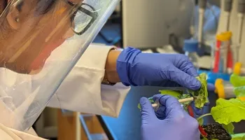 Learning to Speak 'Plant' in a Changing Environment