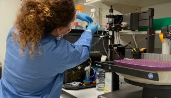 A Gutsy Approach to Human Hormones